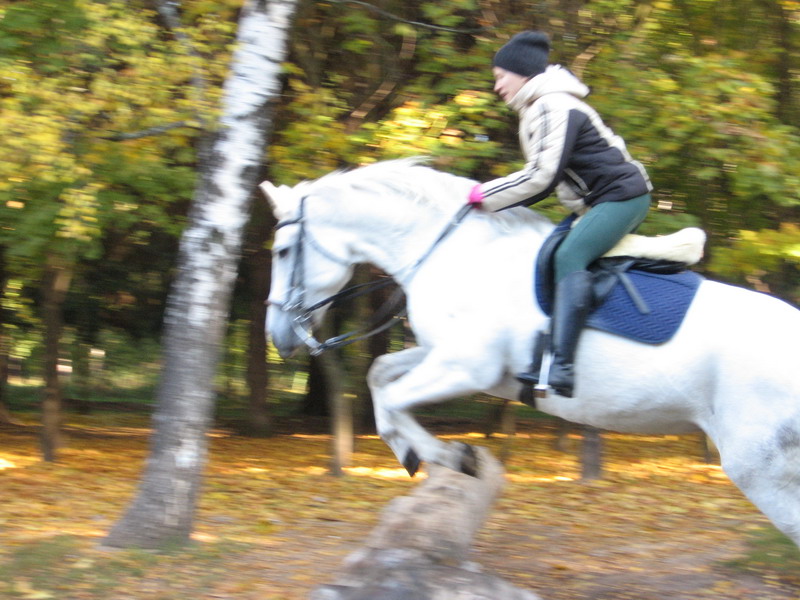 IMG_1171.jpg1.jpg"%20height="600"%20width="800